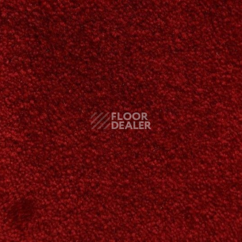 Ковролин Radici Lord Rosso 129A фото 1 | FLOORDEALER